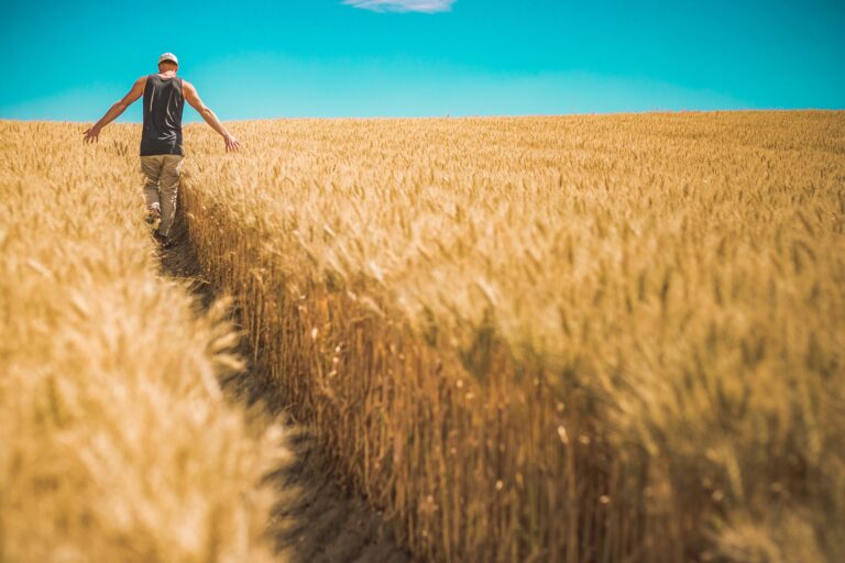Publicada la Orden de ayudas a Agricultores – Aragón