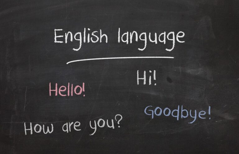 ¿Qué debe saber un profesor para impartir una clase bilingüe?