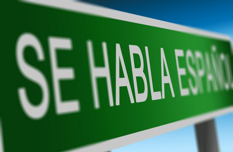 ¿Qué necesitamos para ser profesores de español?