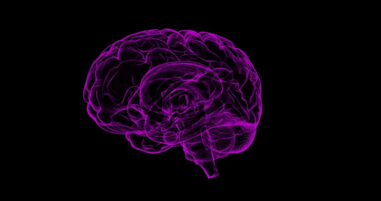 Así se desarrolla el cerebro de nuestros hijos