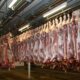 <p style="color:#379ee4">MANIPULADOR DE ALIMENTOS-SECTOR CÁRNICO</p>