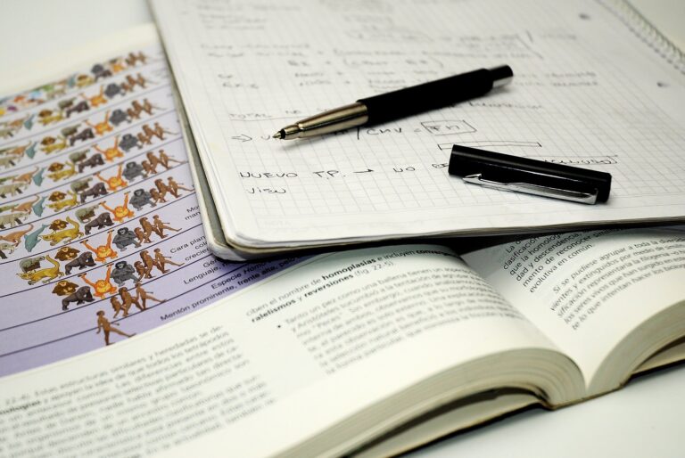 Wuolah, la plataforma de mercadeo de apuntes universitarios que inquieta a los profesores