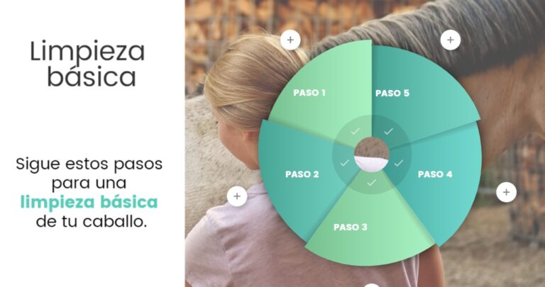 Conoce las ventajas de alojar el contenido de tus cursos en formato SCORM