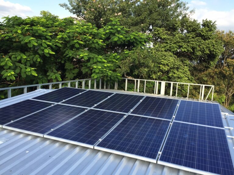 Guardián del clima, agricultor urbano, ‘green marketer’ y otros nuevos empleos con futuro