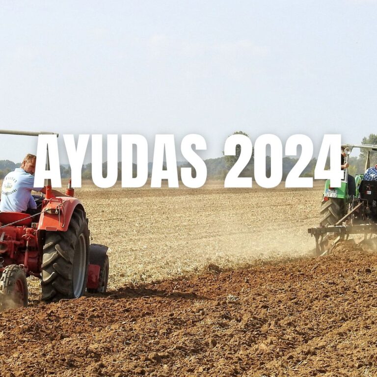 Modificación de ayudas jóvenes agricultores 2024